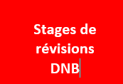 Revisions dnb 1